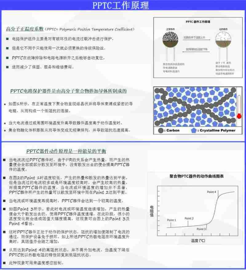 3月8日,十四届全国人大三次会议在北京人民大会堂举行第二次全体会议。新华社记者 郑焕松摄